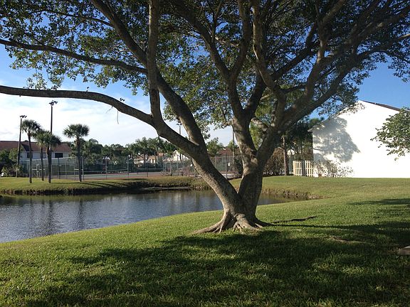 Nice big shade tree 4 picnic