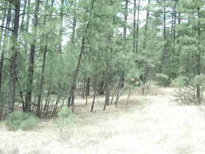 Gavilan Canyon Rd, Ruidoso, NM, 88345