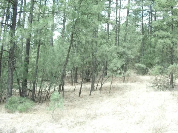 Gavilan Canyon Rd, Ruidoso, NM 88345