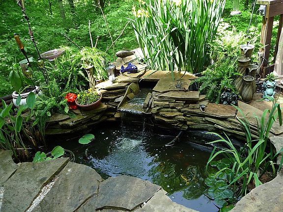 incl waterfall pond w koi 