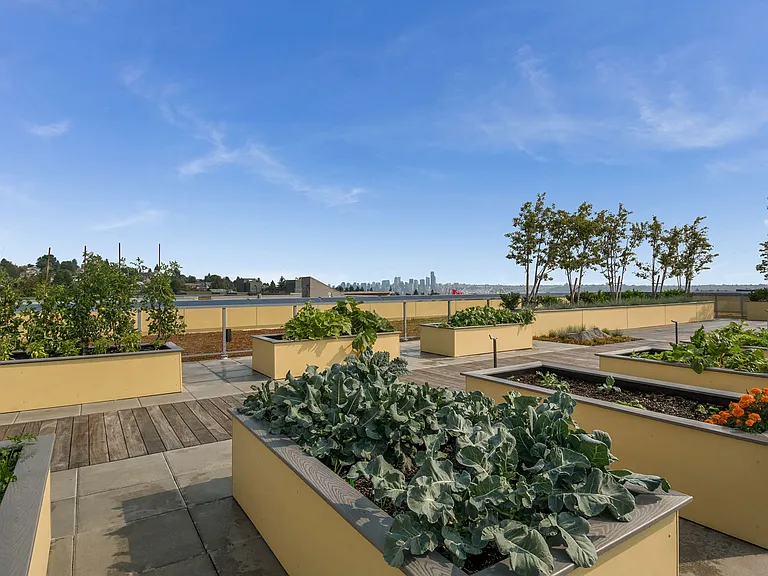 Rooftop community gardens