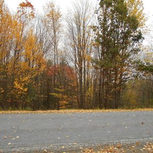 195 Woodstream Ln, Oneonta, NY, 13820
