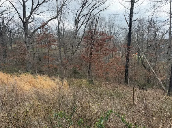 Ludborough Ln #17, Bella Vista, AR 72715