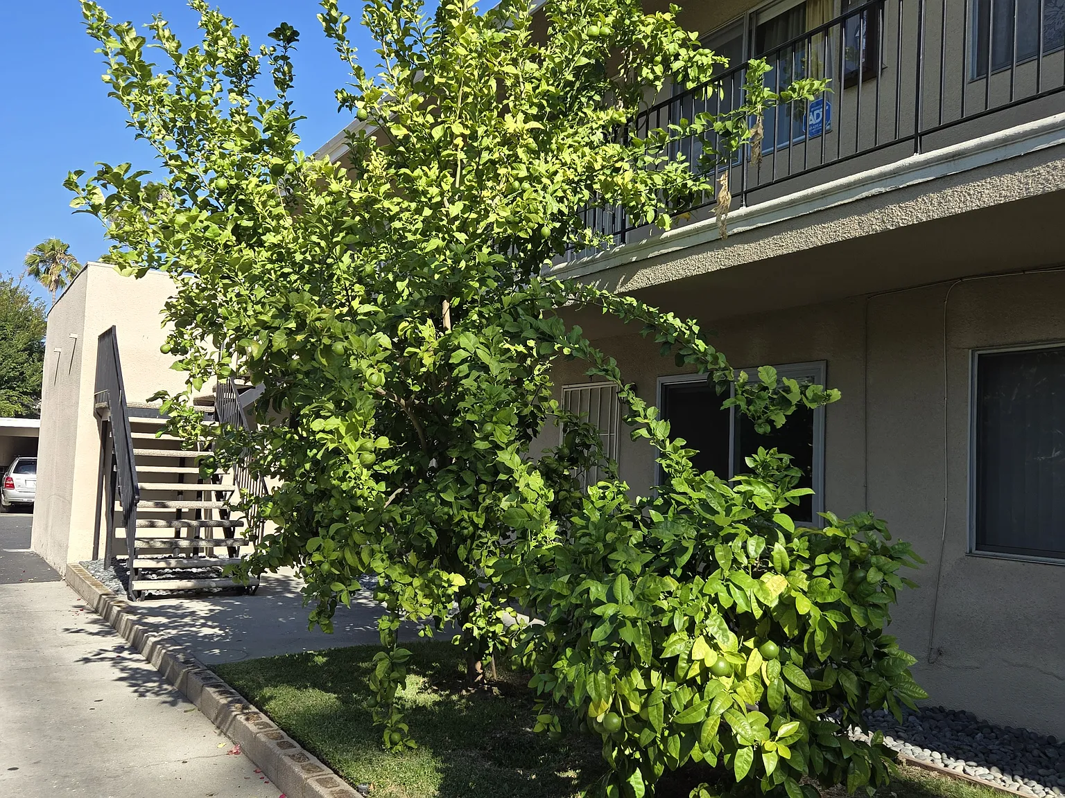 40 Harkness Ave — Photo 1