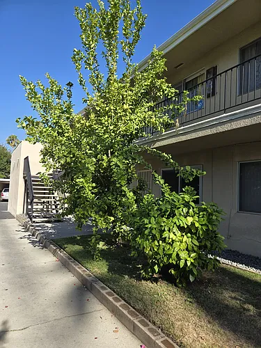 40 Harkness Ave #4 Photo 1