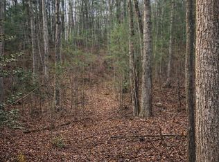 1 Bear Run Cir, Ellijay, GA 30540