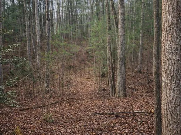 1 Bear Run Cir, Ellijay, GA 30540