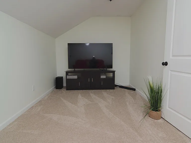 212 Glossy Green Ln — Photo 24