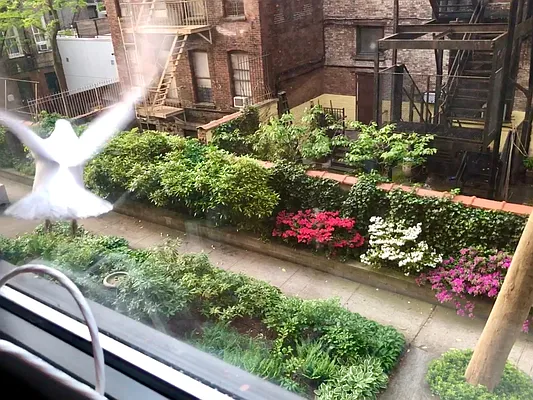 Rented by Owner | media 21