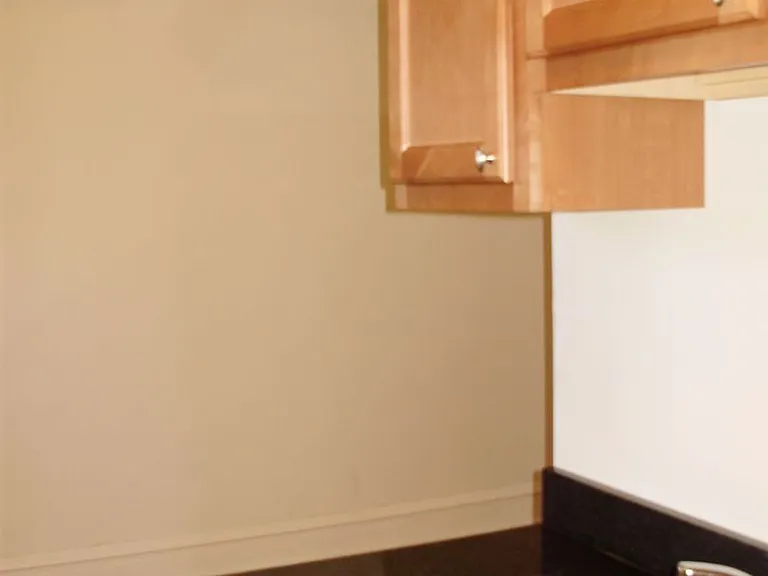 4245 N Hermitage Ave #1B — Photo 8
