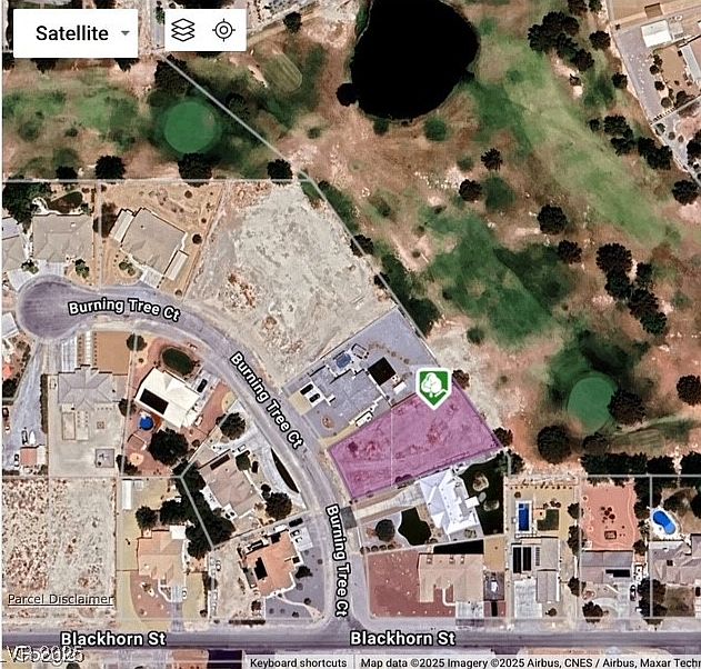 3161 Burning Tree Ct