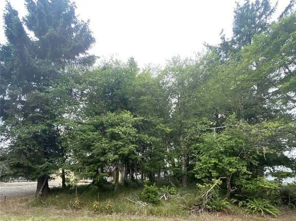 135 Duck Lake Drive NE, Ocean Shores, WA 98569