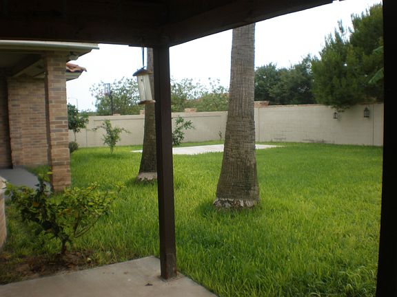 Backyard view