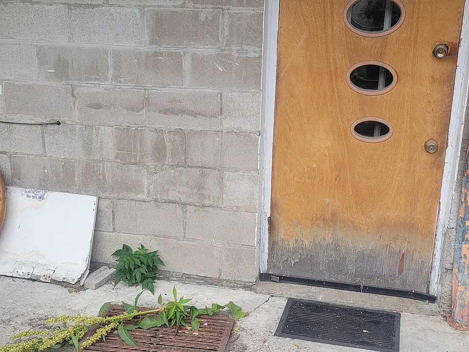 entrance door