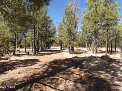 3900 Morning View Dr #47, Happy Jack, AZ, 86024