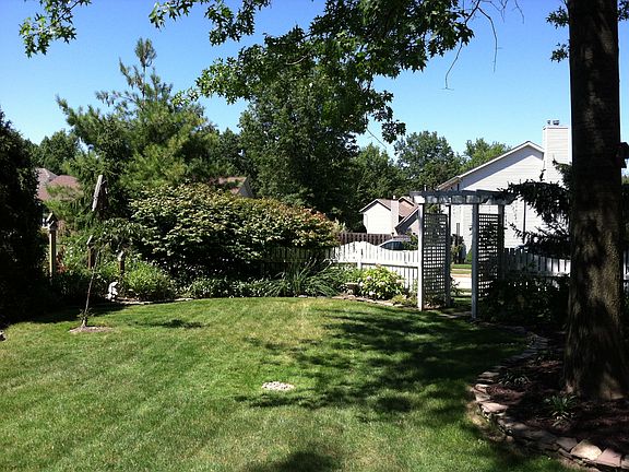 Backyard facing arbor