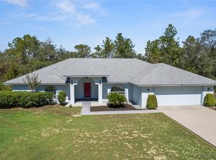 3815 W Brazilnut Rd, Beverly Hills, FL 34465