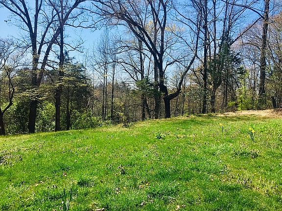 front yard