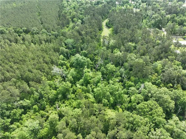 Shadow Lake Dr, Holden, LA 70744