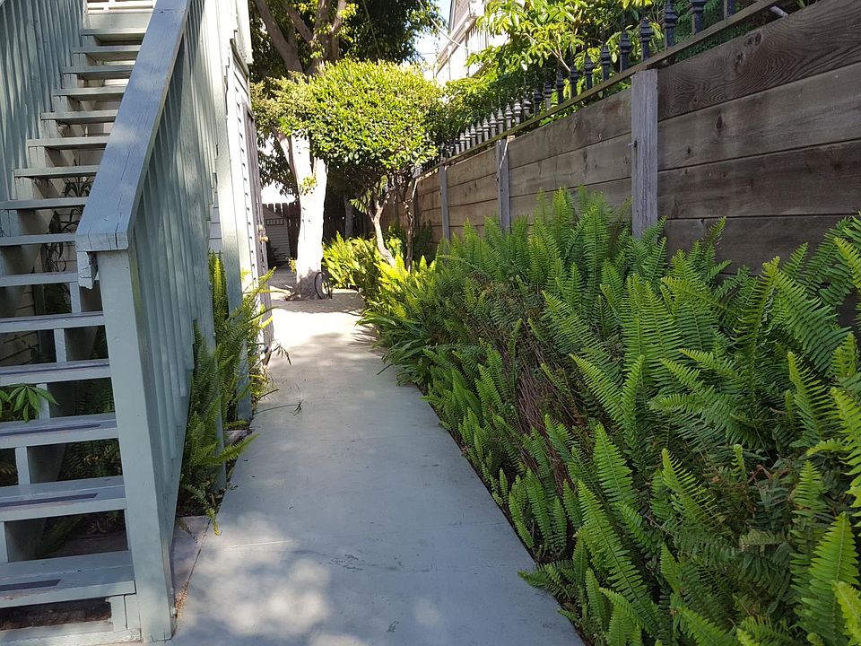 Walk way to property