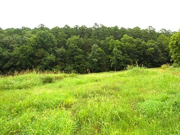 5th image of 10.75acres Younkers Lane