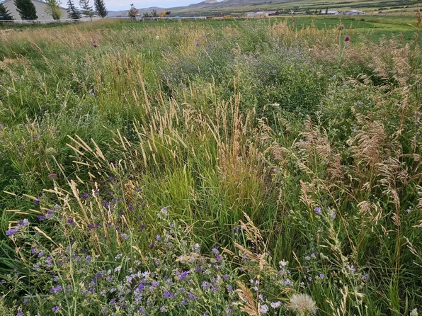 LOT 10 Bailey Loop, La Barge, WY 83123