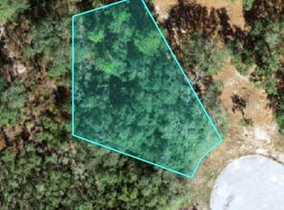 121 Warmouth Ln #11, Kissimmee, FL 34759
