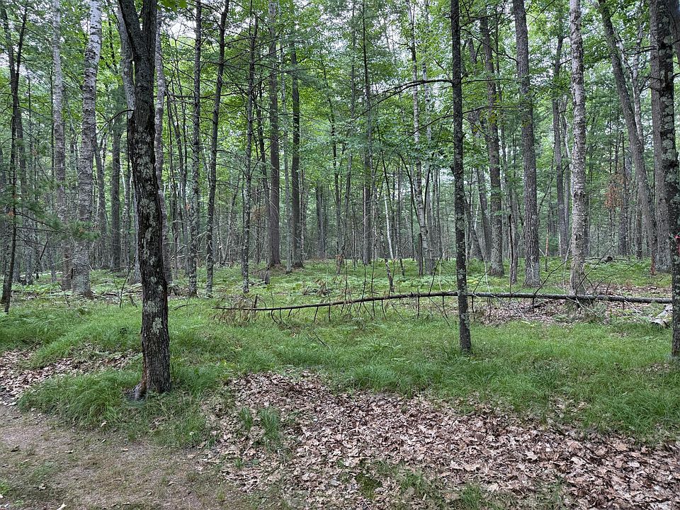 2nd image of Pine Shore Ln