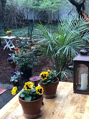 Rented by R New York | media 31