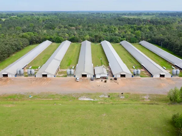 1000 County Road 2856, Hughes Springs, TX 75656