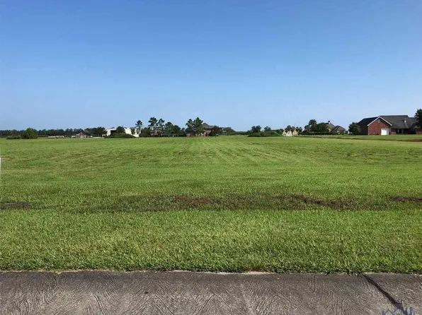 310 Destrahan Dr, Schriever, LA 70395