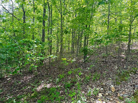 3rd image of 0 Pratt Rd