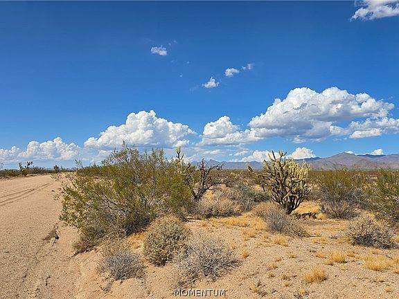 5th image of 123-12-004 S Wild Bill Road