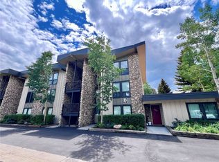 160 E La Bonte St #301, Dillon, CO 80435