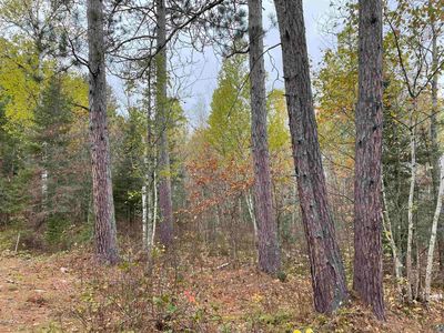 Tbd Muckwa Lake Rd, Babbitt, MN, 55706