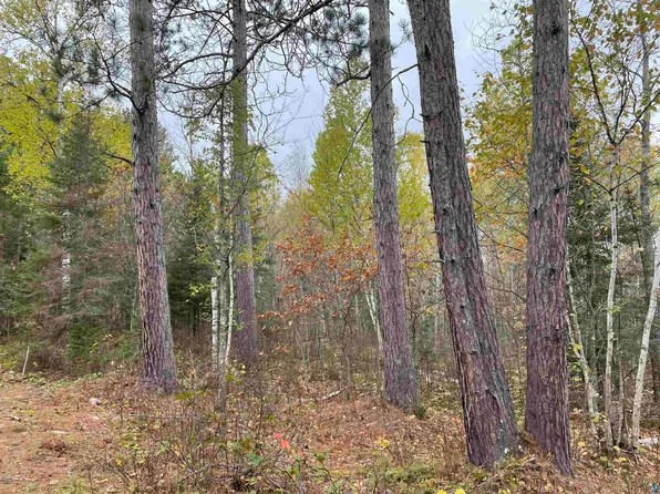 Tbd Muckwa Lake Rd, Babbitt, MN 55706