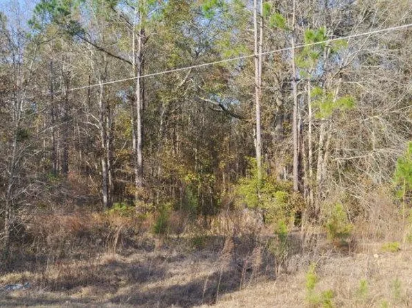 189 Boxelder Ln, Ocilla, GA 31774