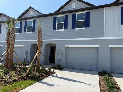 32128 Eastern Redbud Br, San Antonio, FL, 33576