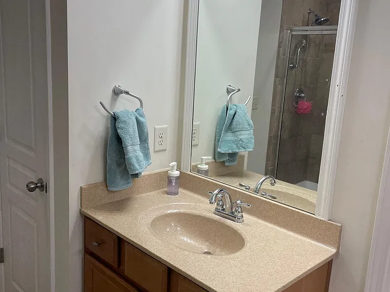 6255 Crested Moss Dr — Photo 29