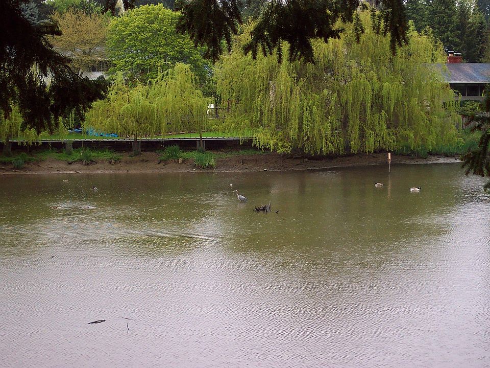 Water view off back deck