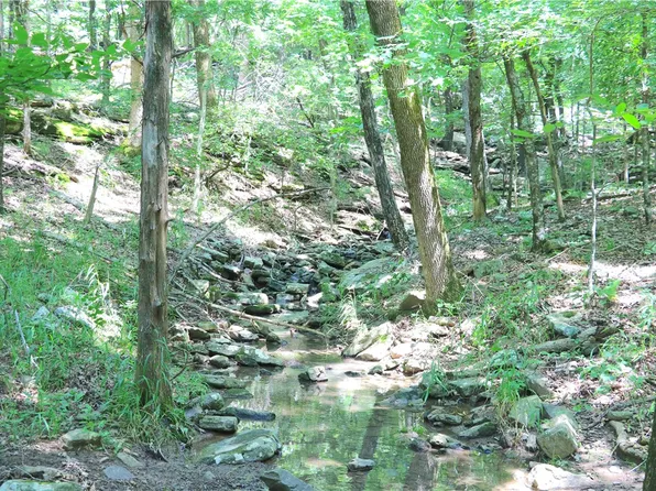 000 Hale Mountain Rd, Canehill, AR 72717