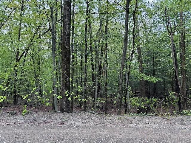 2nd image of Russell Hill Road #35