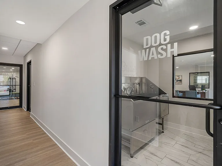 Pet Grooming Station