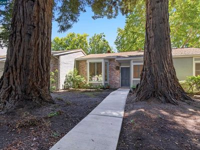 548 Sycamore Cir, Danville, CA, 94526