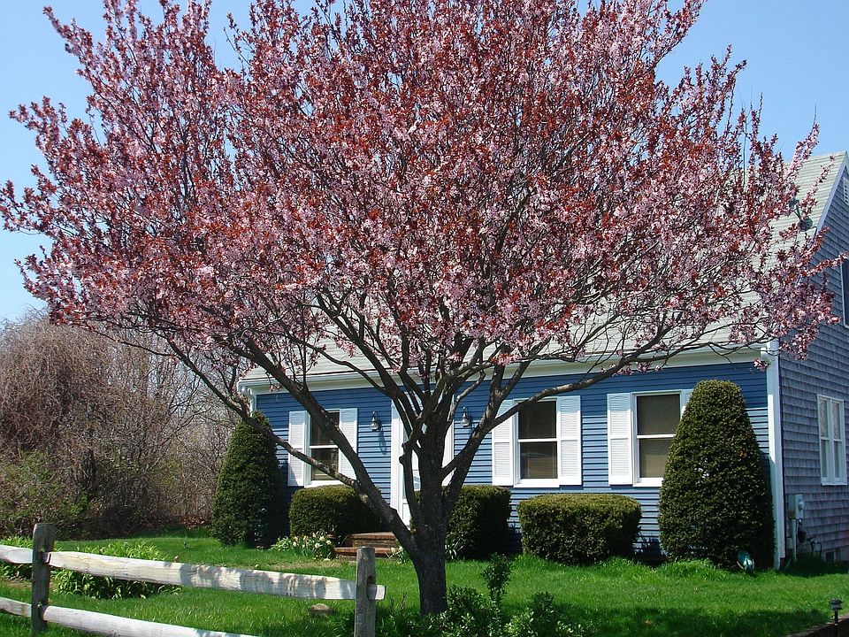 5 Old Colony Way, Provincetown, MA 02657 Zillow