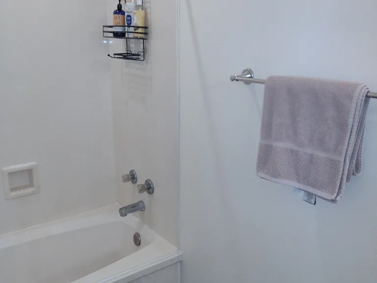 Master Bathroom 4