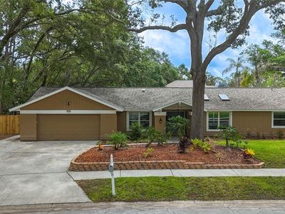2379 Barcelona Dr, Dunedin, FL, 34698