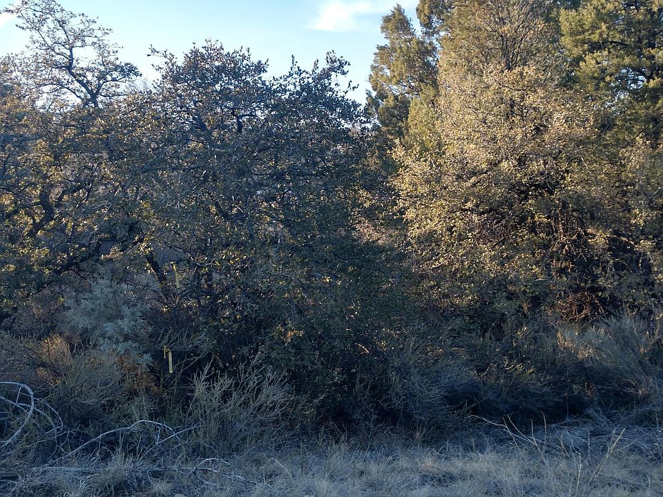 2nd image of 1040 N Rose Quartz Dr