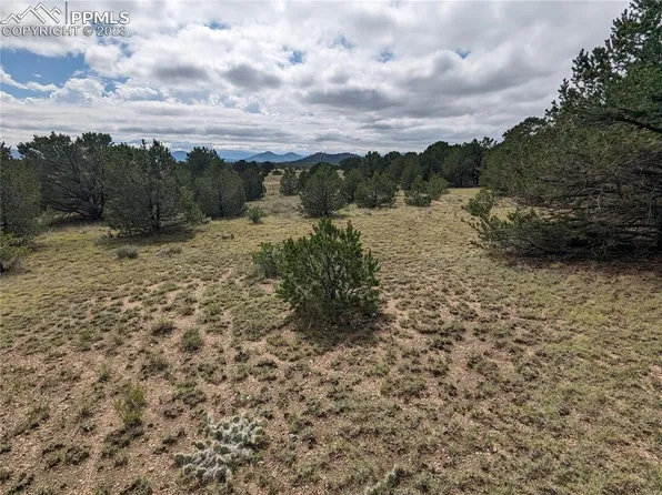 35th Trl, Cotopaxi, CO 81223