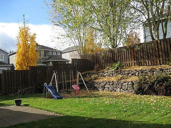 Backyard 1